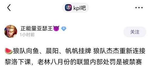 中辅一队爆料最新消息,最新动态揭秘，精彩内容抢先看！