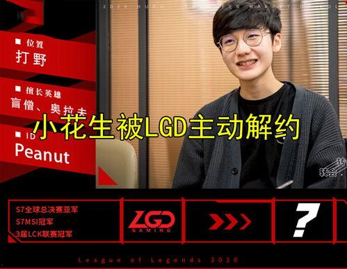 中辅一队爆料最新消息,最新动态揭秘,精彩内容抢先看! 第3张 中辅一队爆料最新消息,最新动态揭秘,精彩内容抢先看! 第3张