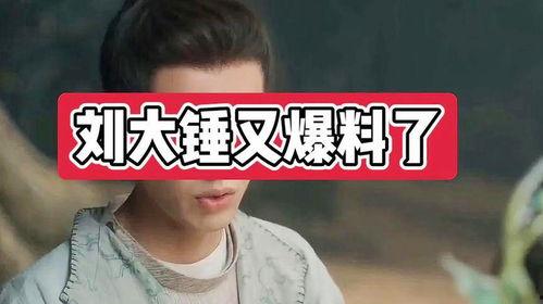 刘大锤八点爆料视频大全,揭秘娱乐圈幕后真相 第2张 刘大锤八点爆料视频大全,揭秘娱乐圈幕后真相 第2张