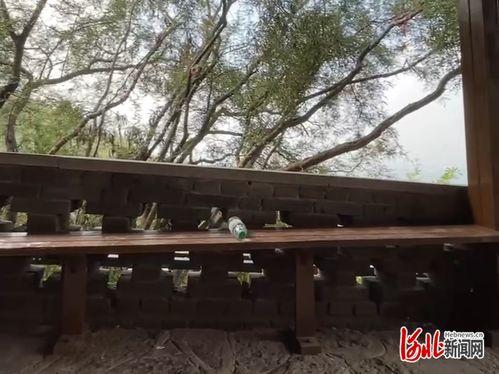 邯郸怪坡爆料视频,视频曝光奇观背后的真相 第3张 邯郸怪坡爆料视频,视频曝光奇观背后的真相 第3张