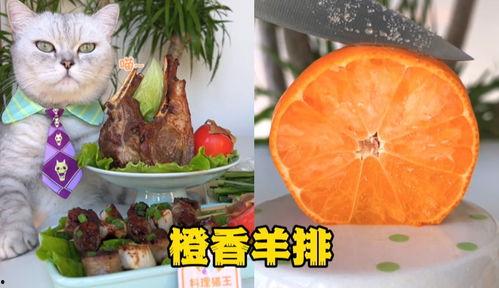 博主爆料料理猫王视频,博主爆料视频背后的美食传奇 第2张 博主爆料料理猫王视频,博主爆料视频背后的美食传奇 第2张