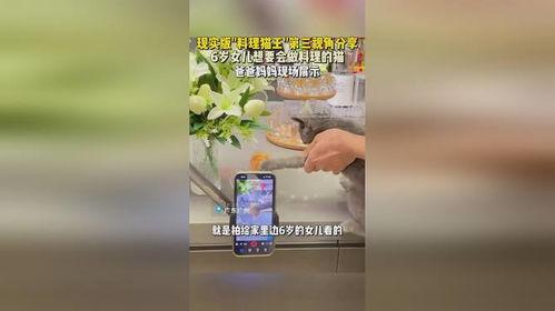 博主爆料料理猫王视频,博主爆料视频背后的美食传奇 第3张 博主爆料料理猫王视频,博主爆料视频背后的美食传奇 第3张