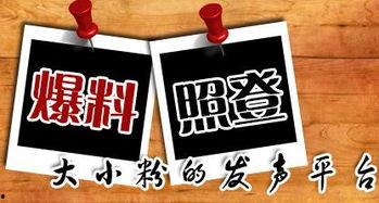 爆料爆款新闻,爆款新闻背后的惊人真相