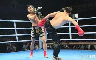 mma对战太极最新爆料 第3张 mma对战太极最新爆料 第3张