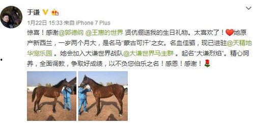 马爸爸内部爆料视频播放,视频播放背后的惊人真相 第2张 马爸爸内部爆料视频播放,视频播放背后的惊人真相 第2张