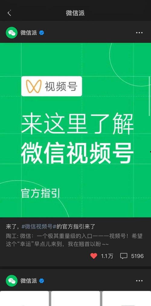 营销号自我爆料视频素材,自我爆料视频背后的秘密  第2张