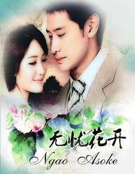 无忧花开在线观看,一场穿越时空的浪漫邂逅 第3张 无忧花开在线观看,一场穿越时空的浪漫邂逅 第3张