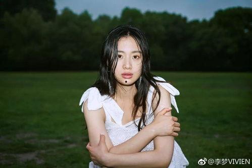 李梦爆料视频大全最新一期,娱乐圈背后惊人真相  第3张