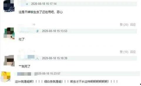 张娇娇爆料视频下载网址,揭秘背后真相 第2张 张娇娇爆料视频下载网址,揭秘背后真相 第2张