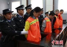 广西贺州最新爆料案件,神秘命案背后真相揭晓