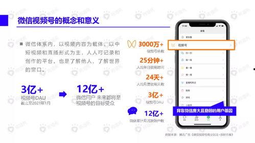 南瓜爆料主播视频下载软件,揭秘热门主播视频下载神器 第2张 南瓜爆料主播视频下载软件,揭秘热门主播视频下载神器 第2张