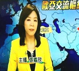 张嘉欣最新爆料新闻,揭秘娱乐圈惊人内幕 第3张 张嘉欣最新爆料新闻,揭秘娱乐圈惊人内幕 第3张
