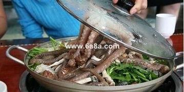 八爪鱼爆料配方视频教程,轻松掌握美食制作技巧 第3张 八爪鱼爆料配方视频教程,轻松掌握美食制作技巧 第3张