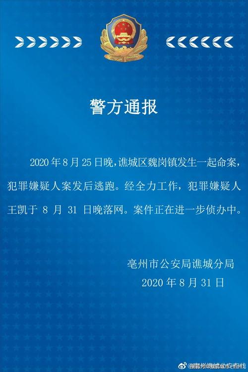 大学最新爆料案件大全视频,视频曝光惊心动魄校园事件 第3张 大学最新爆料案件大全视频,视频曝光惊心动魄校园事件 第3张