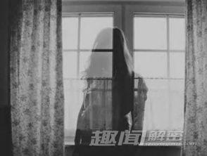 鬼魂实验室在线观看,揭秘超自然现象的惊悚之旅  第3张