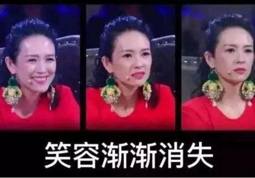 刘团长内部爆料视频大全,揭秘视频大全背后的惊人真相