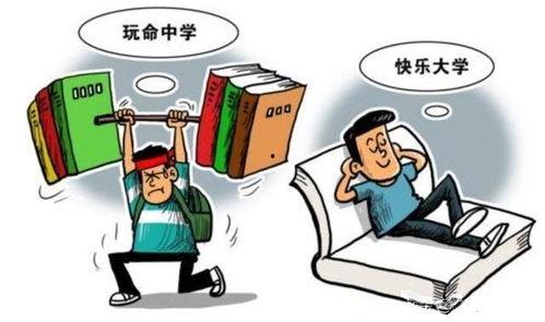 工伤爆料视频大全集最新,揭示职场安全隐忧与维权之路 第3张 工伤爆料视频大全集最新,揭示职场安全隐忧与维权之路 第3张