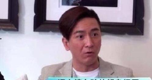 吴启华爆料道歉了吗视频,深度反思与诚挚道歉 第3张 吴启华爆料道歉了吗视频,深度反思与诚挚道歉 第3张