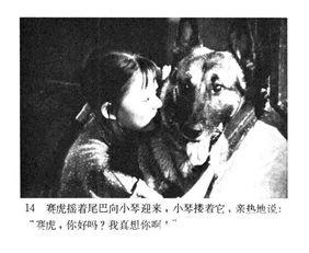 赛虎电影在线观看,热血激战,勇闯天涯 第3张 赛虎电影在线观看,热血激战,勇闯天涯 第3张