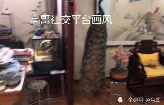 外国舅舅爆料视频播放大全,外国视角下的真实世界 第2张 外国舅舅爆料视频播放大全,外国视角下的真实世界 第2张