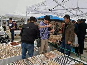 阿拉善展会爆料最新消息,前沿科技与绿色未来精彩纷呈