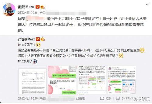 美国华人圈爆料视频播放,揭秘背后真相