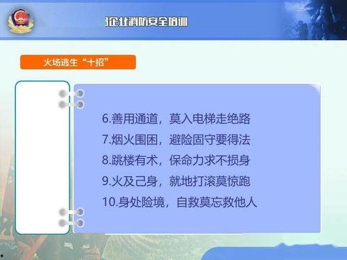 网友爆料教程视频下载安装,教程视频下载安装全攻略，轻松上手！