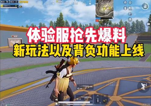 爆料体验服最新玩法下载,下载体验，畅游未知领域！