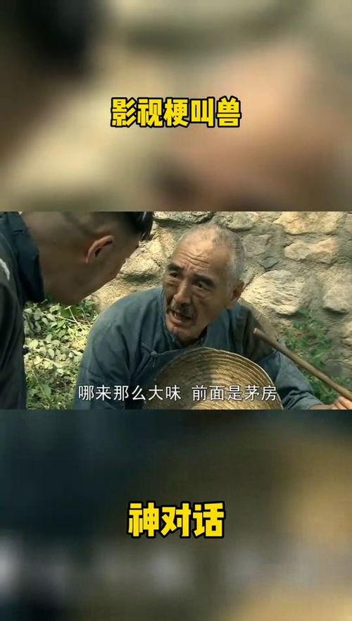 黄渤爆料大爷视频播放下载,下载观看，感受温情时刻