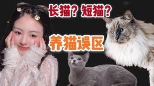 福州布偶爆料事件视频完整版,视频完整版揭秘惊人内幕 第2张 福州布偶爆料事件视频完整版,视频完整版揭秘惊人内幕 第2张