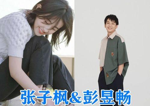 双北cp圈内爆料是谁,神秘人物引发热议!” 第3张 双北cp圈内爆料是谁,神秘人物引发热议!” 第3张
