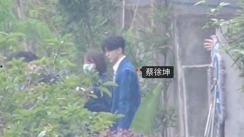 白鹿蔡徐坤爆料视频,揭秘娱乐圈幕后真相 第3张 白鹿蔡徐坤爆料视频,揭秘娱乐圈幕后真相 第3张