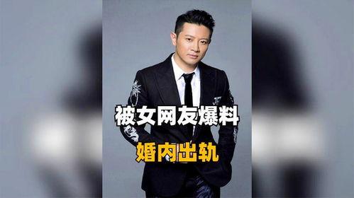 结婚男星爆料视频播放网站,热门播放网站大揭秘