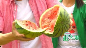 静海吃瓜的网红,揭秘网络红人的幕后生活 第3张 静海吃瓜的网红,揭秘网络红人的幕后生活 第3张