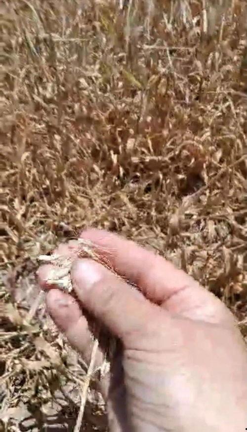 地瓜爆料视频,揭秘娱乐圈不为人知的幕后故事