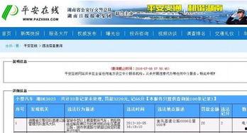 新闻爆料怎么查询结果的,如何查询结果全解析