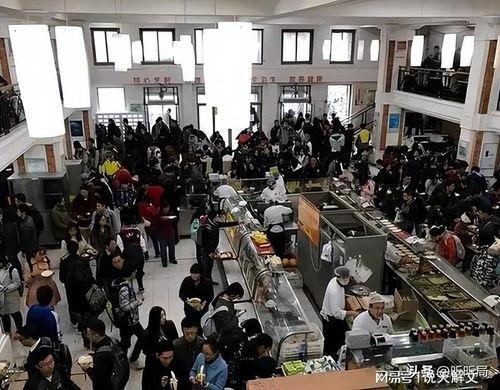 高峰食堂爆料事件视频大全,揭露校园食堂那些不为人知的故事