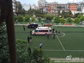 昆明小学爆料最新消息新闻,揭秘校园事件背后的真相 第2张 昆明小学爆料最新消息新闻,揭秘校园事件背后的真相 第2张