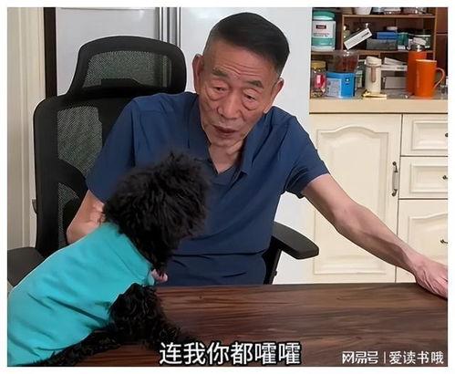 虎哥豹哥最新爆料视频,揭秘娱乐圈惊人内幕! 第3张 虎哥豹哥最新爆料视频,揭秘娱乐圈惊人内幕! 第3张