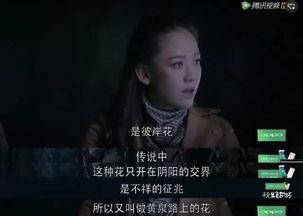 精觉古城全集在线观看,穿越时空的奇幻之旅 第3张 精觉古城全集在线观看,穿越时空的奇幻之旅 第3张