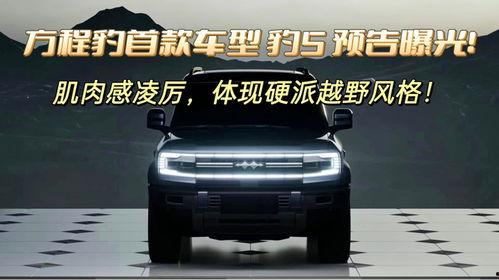 豹5最新爆料,揭秘尖端军事装备的神秘面纱 第2张 豹5最新爆料,揭秘尖端军事装备的神秘面纱 第2张
