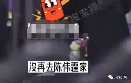 狗仔爆料陈伟霆视频播放,陈伟霆私密视频引发热议  第2张