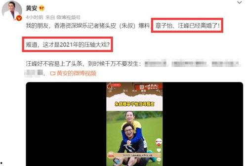 大瓜视频爆料在线观看,热门事件幕后真相大揭秘  第3张