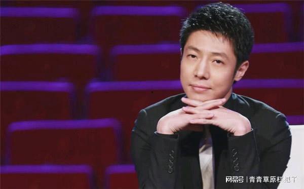 撒贝宁爆料叶一茜视频,揭秘明星家庭温馨瞬间  第3张