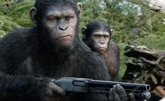 猩球崛起1手机在线观看,手机在线观看,重温猿人崛起的震撼时刻 第2张 猩球崛起1手机在线观看,手机在线观看,重温猿人崛起的震撼时刻 第2张