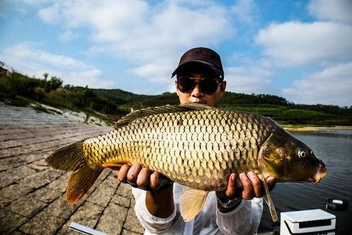 沙坑大鲤鱼爆料视频,独家爆料视频深度解析 第2张 沙坑大鲤鱼爆料视频,独家爆料视频深度解析 第2张
