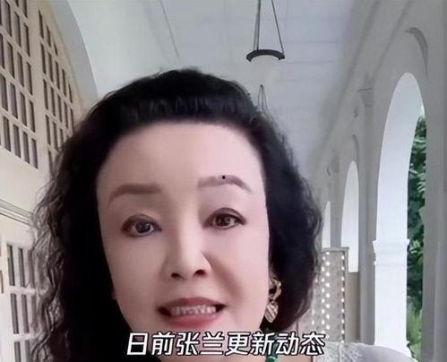 台媒爆料张兰简介视频,台媒爆料揭示传奇企业家风采