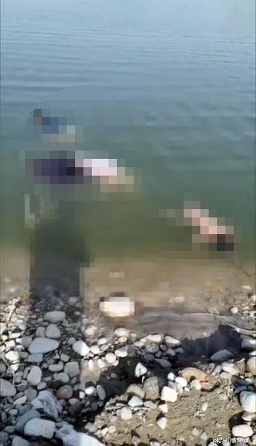 三坑水库爆料事件视频,真相与争议交织