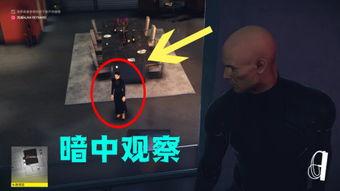 合约杀手 在线观看,在线揭秘暗网交易内幕  第3张