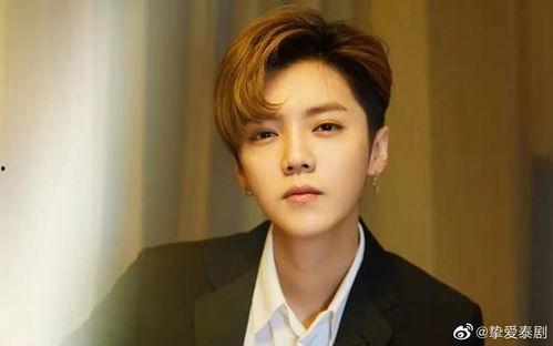 圈内人爆料鹿晗和鹿晗,揭秘明星与AI的跨界合作  第3张